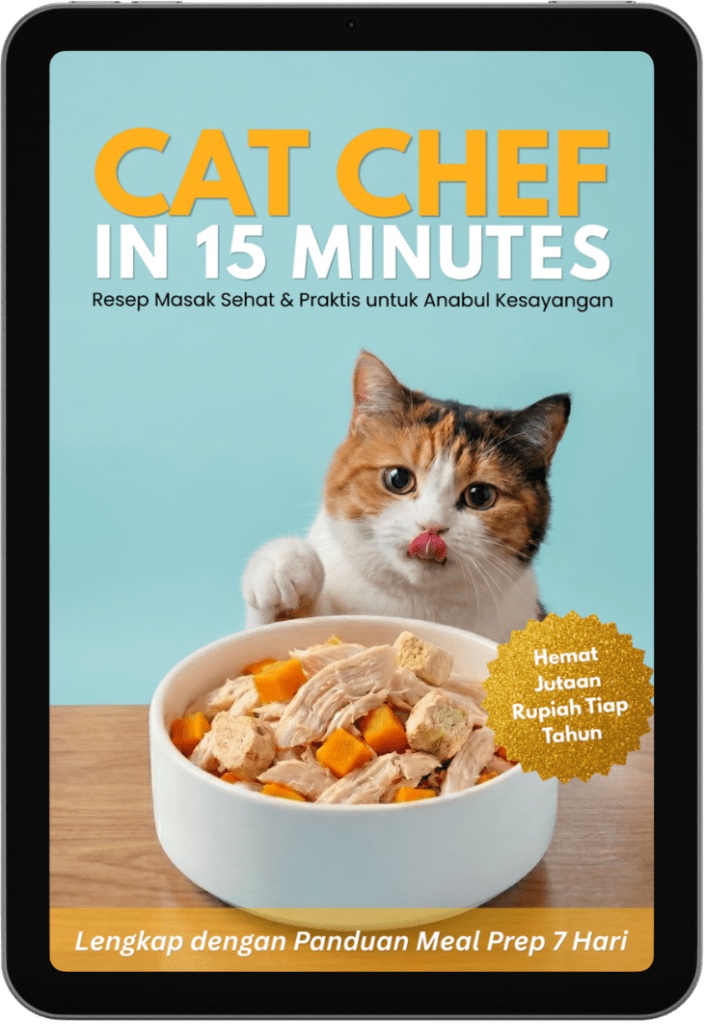 cat chef tablet mockup