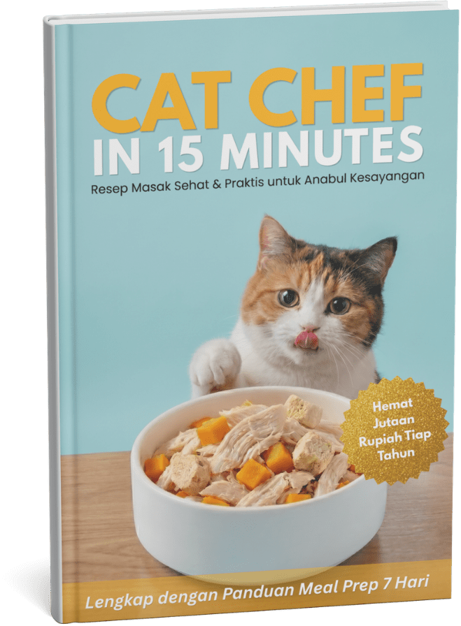 CAT CHEF IN 15 MINUTES (Lite Version) book