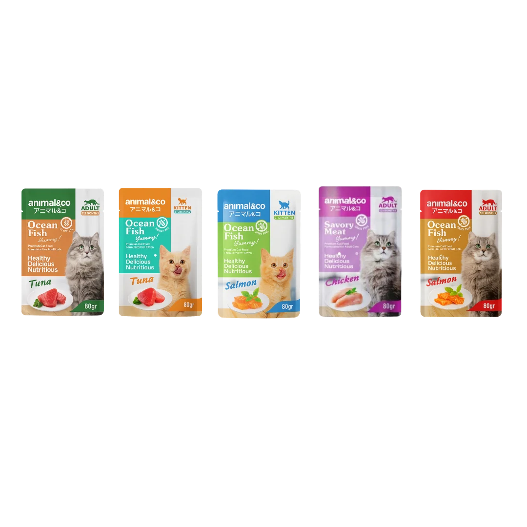 Animal & Co Wet Food