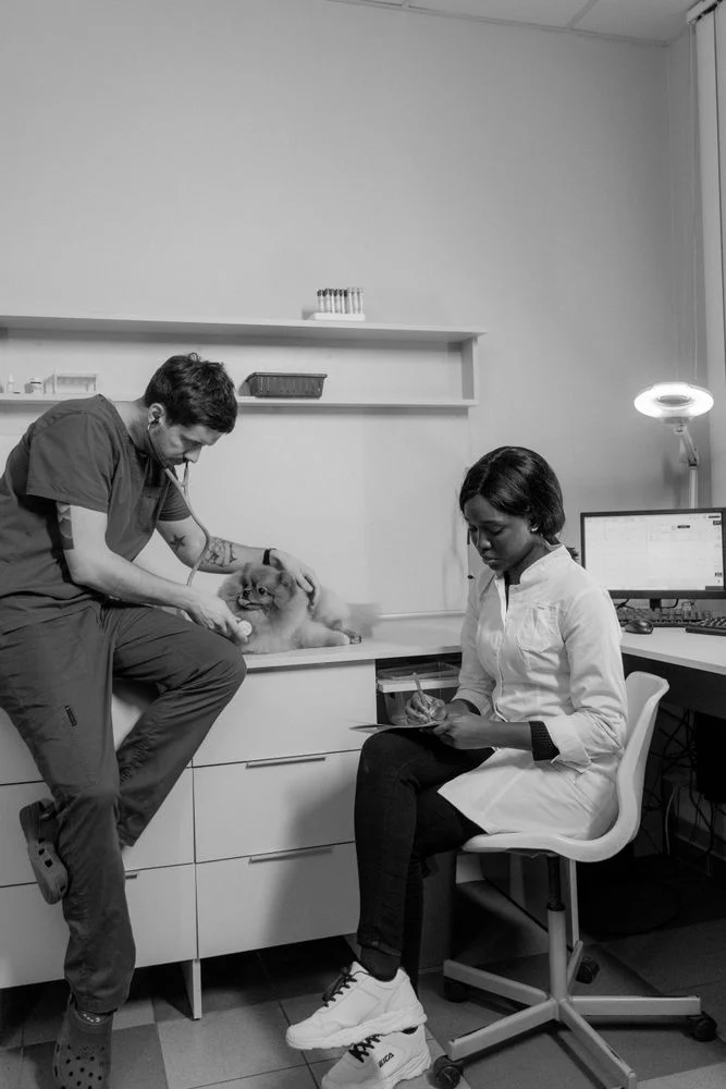 Klinik & Dokter Hewan 24 Jam Terdekat di Bintaro & Jaksel